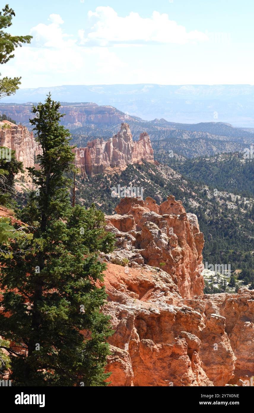 Hoodoos, altre caratteristiche geologiche e ampie vedute dal Natural Bridge Arch Overlook, Bryce Canyon National Park, Utah. Foto Stock