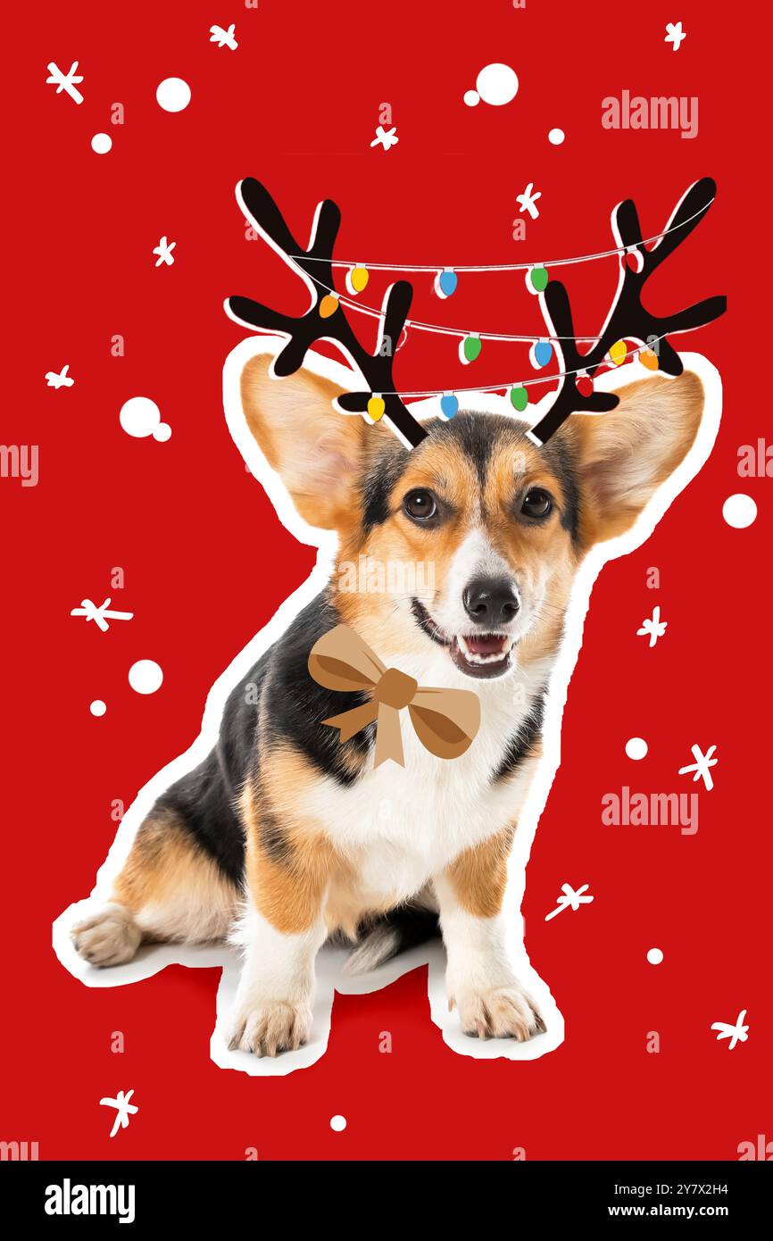 Gonna per albero di Natale stampata con corgi, 91,4 cm, con nappa, per