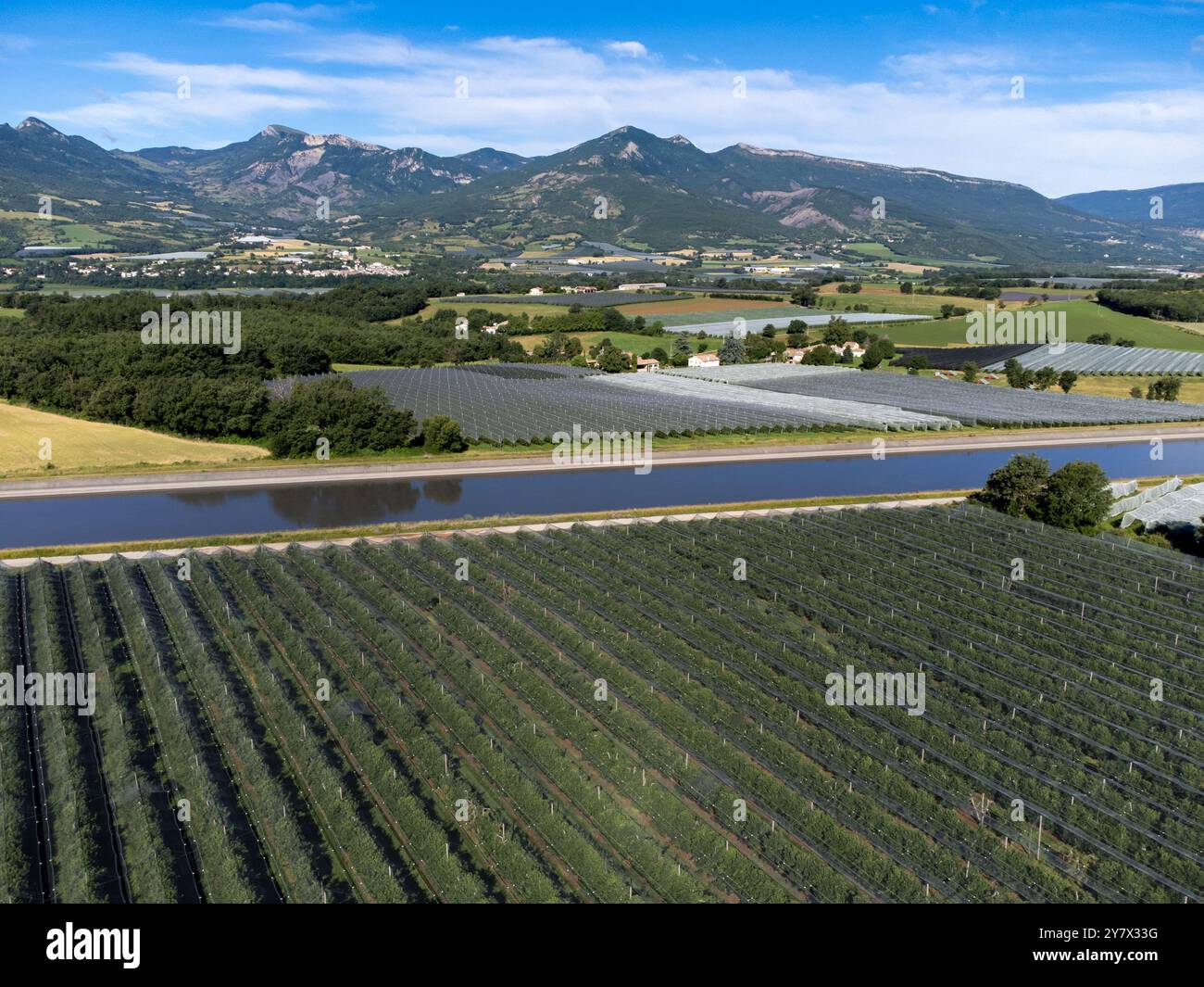 Regione agricola con piante di lavanda o lavandina, frutteti vicino a Sisteron, Haute-Durance, Franse departement Alpes-de-Haute-Provence, in sintesi Foto Stock