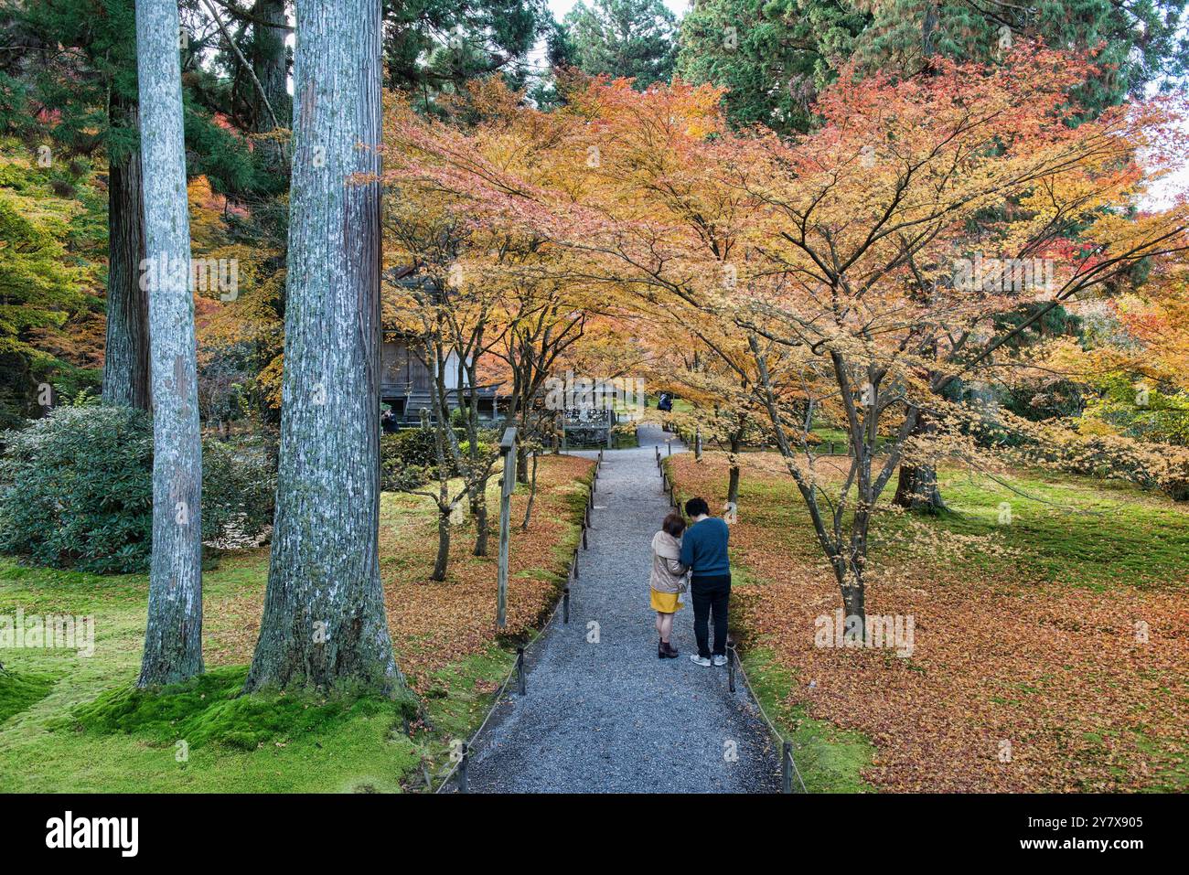 Foglie di autunno a Sanzen-nel tempio, O'hara, prefettura di Kyoto, Giappone. Foto Stock