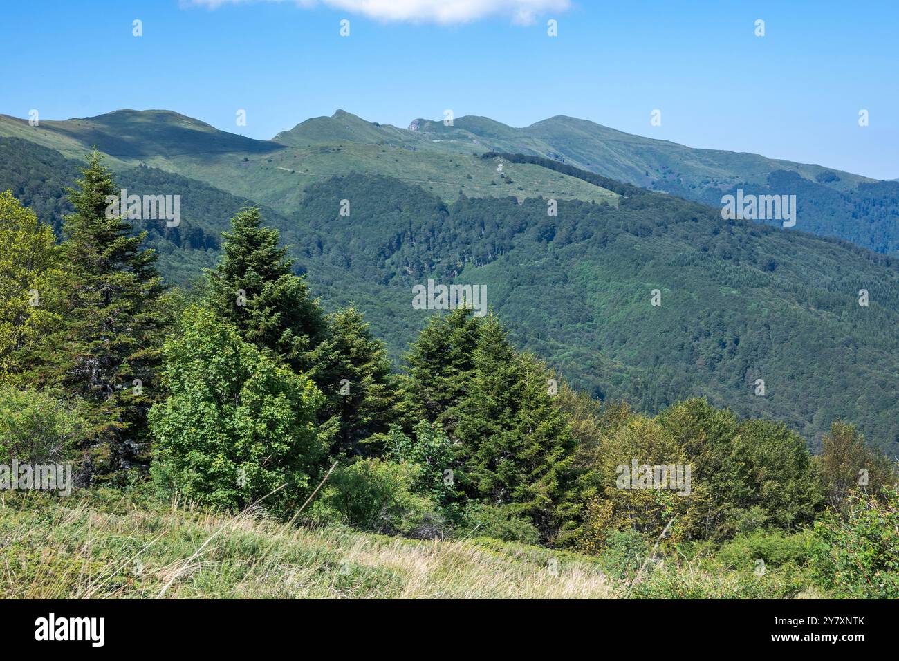 Vista estiva del monte Belasitsa intorno al picco Kongur, regione di Blagoevgrad, Bulgaria Foto Stock