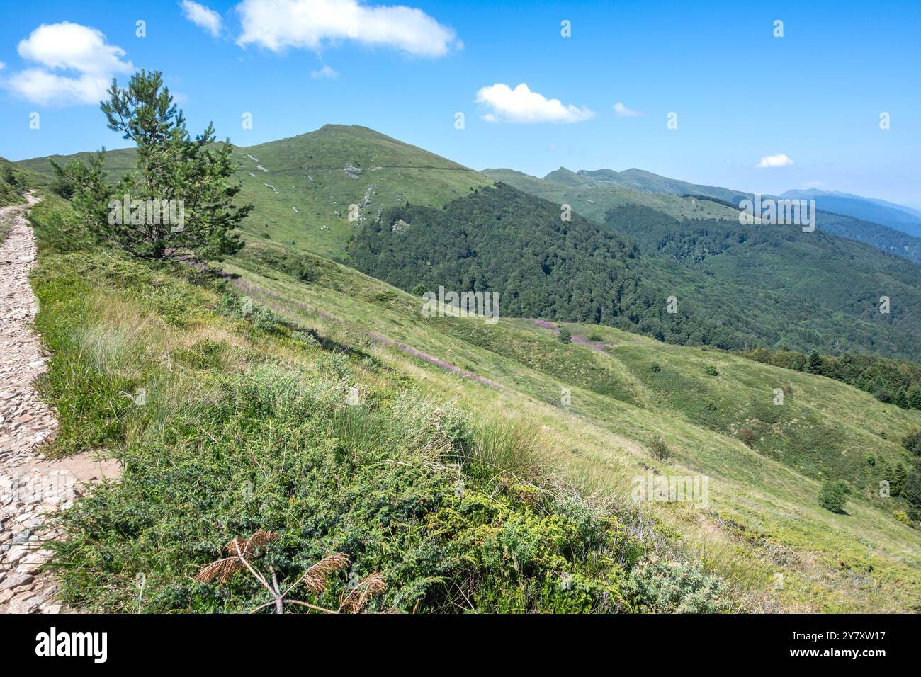 Vista estiva del monte Belasitsa intorno al picco Kongur, regione di Blagoevgrad, Bulgaria Foto Stock