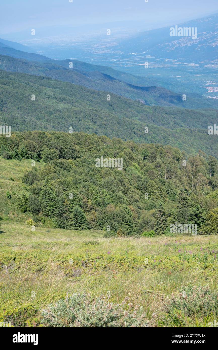 Vista estiva del monte Belasitsa intorno al picco Kongur, regione di Blagoevgrad, Bulgaria Foto Stock