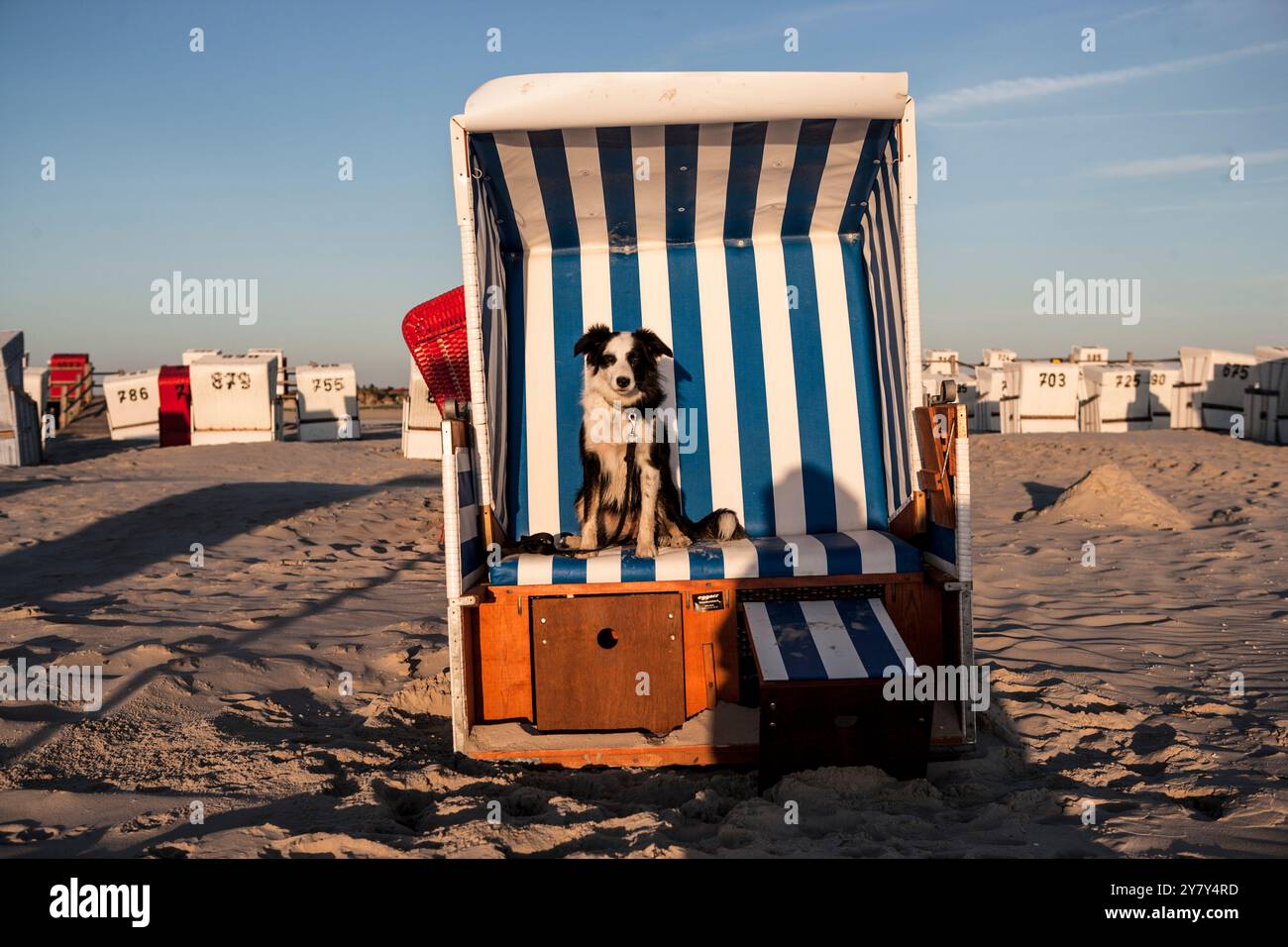 Mare, lago, Mare del Nord, spiaggia, sdraio, sedia da spiaggia con cane, sole serale, Foto Stock