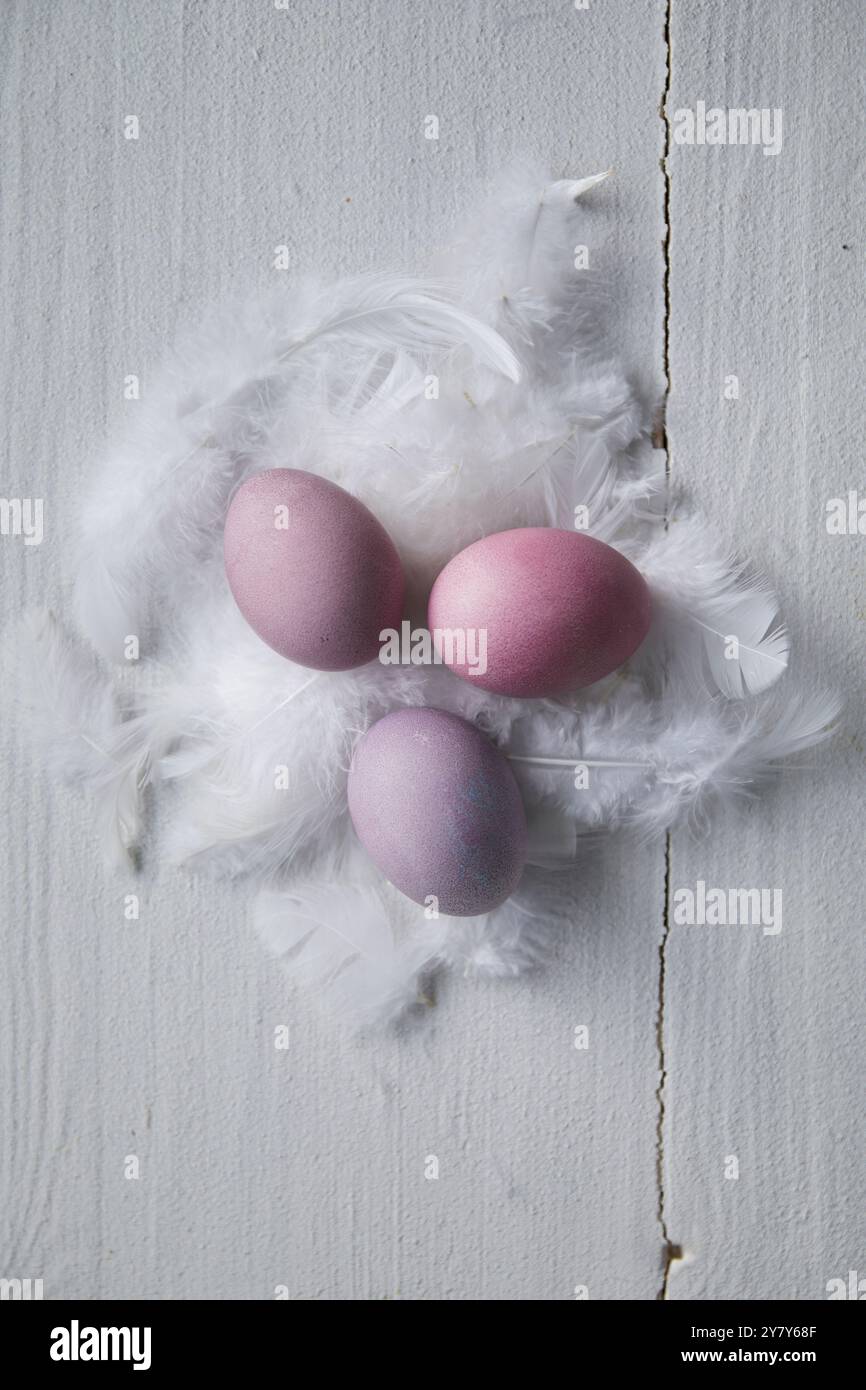 Uova di Pasqua colorate su piume bianche Foto Stock