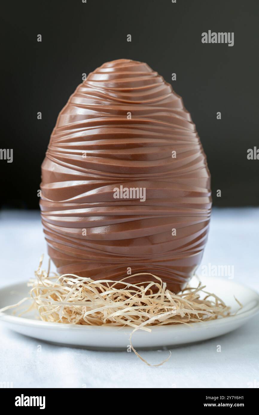 Uovo di cioccolato grande in un nido di lana di legno Foto Stock