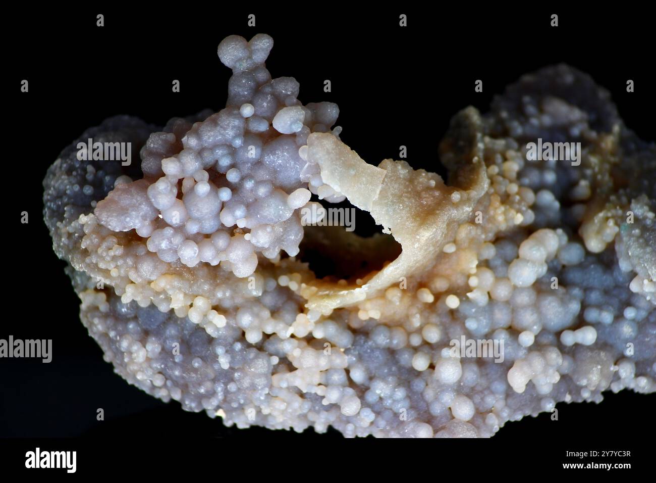 Minerale da collezione calcedonia o agata d'uva, dettagli ravvicinati su sfondo scuro, depositano l'Indonesia Foto Stock