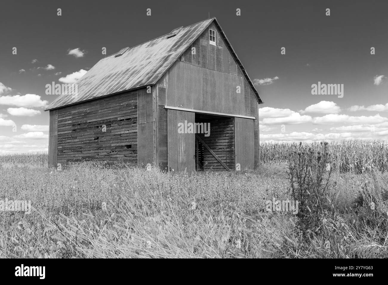 Una culla di mais in legno d'epoca con un cielo autunnale blu in una fattoria di Danville, Iowa. Foto Stock