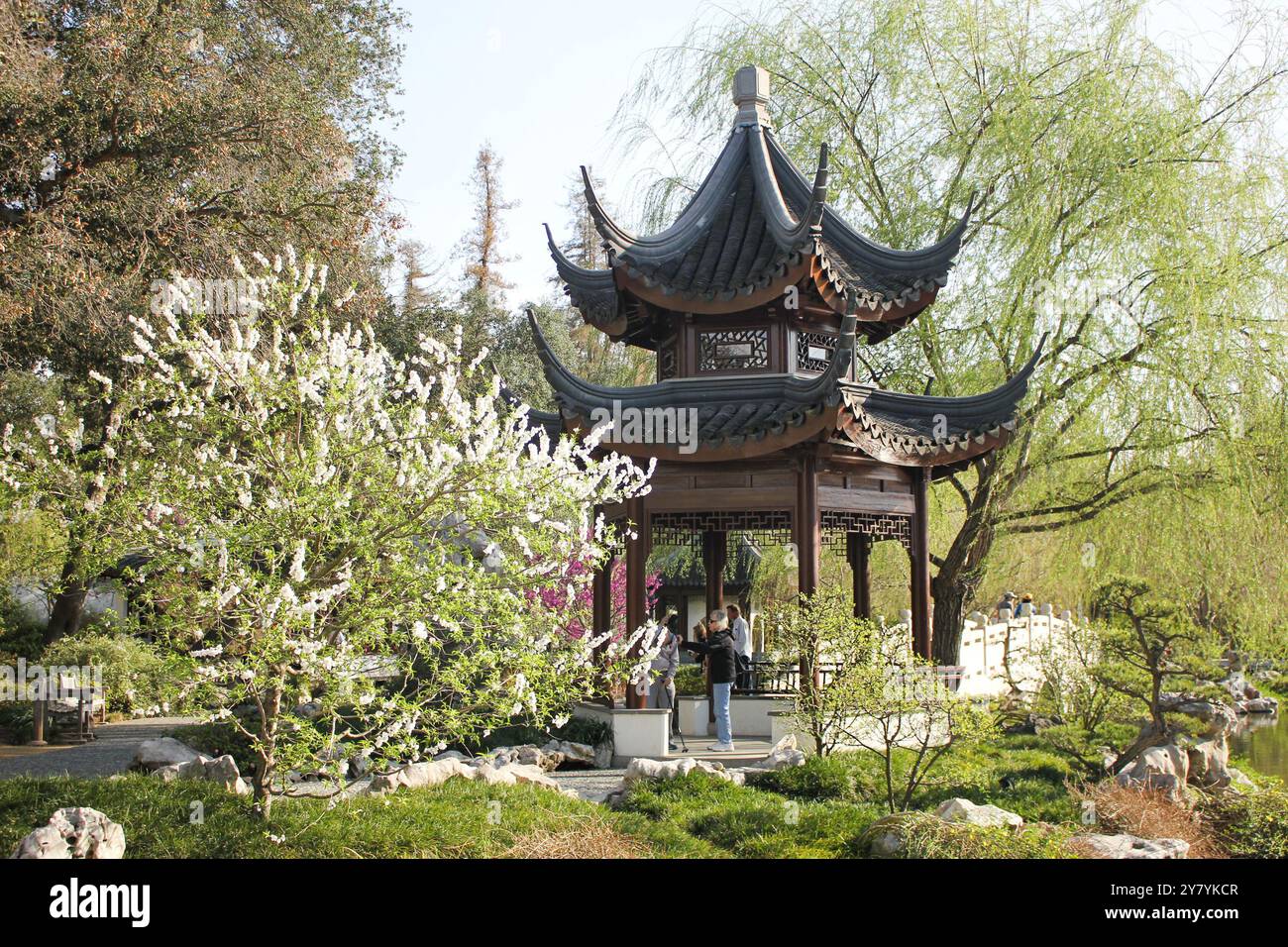 San Marino, California, Stati Uniti - 23-08-2021: Una vista del Giardino Cinese visto all'interno della Biblioteca Huntington. Foto Stock