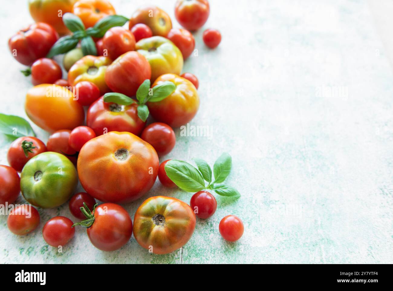 Un variopinto assortimento di pomodori, tra cui varietà cimellate, è sparso insieme a foglie di basilico fresco su una superficie ruvida, mostrando i fres della fattoria Foto Stock