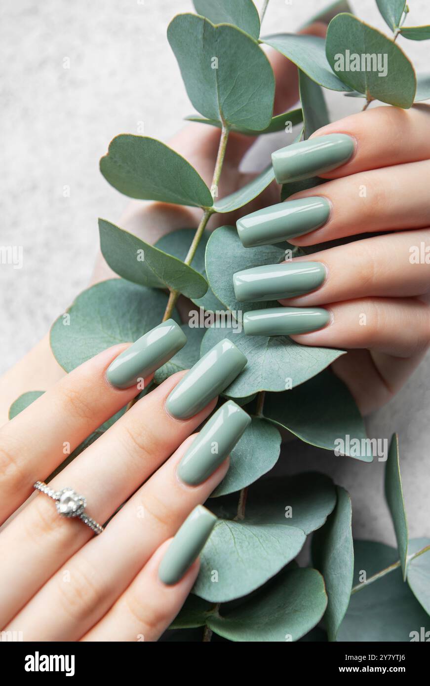 Le mani delicate sono caratterizzate da lunghe unghie verdi alla menta che trattengono delicatamente le foglie di eucalipto, creando un'esposizione serena ed estetica su una texture leggera Foto Stock