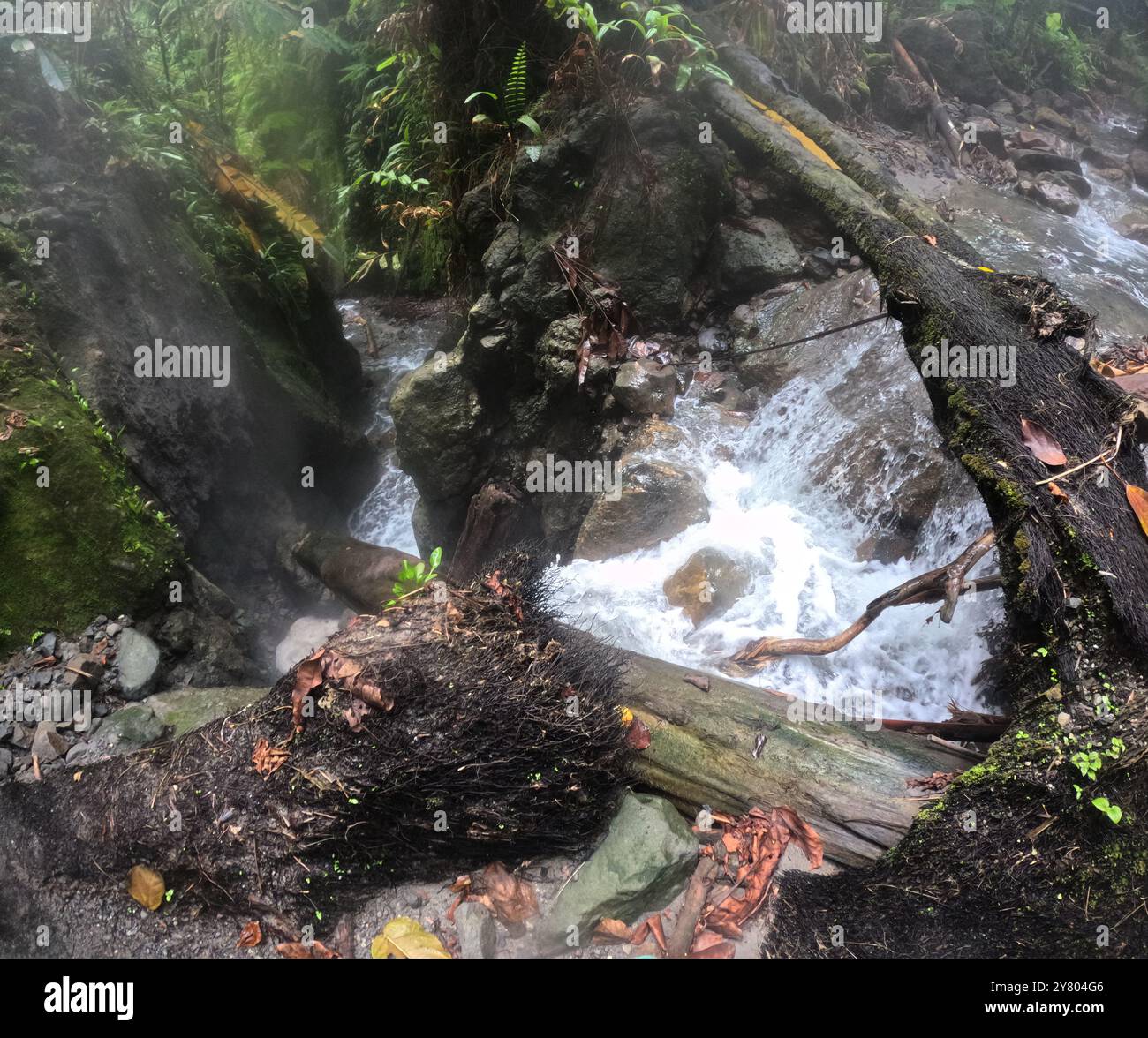 torrente fumante che attraversa il canyon di cenere sotto il cratere vulcanico di una una, Isole Togean, Sulawesi, Indonesia Foto Stock