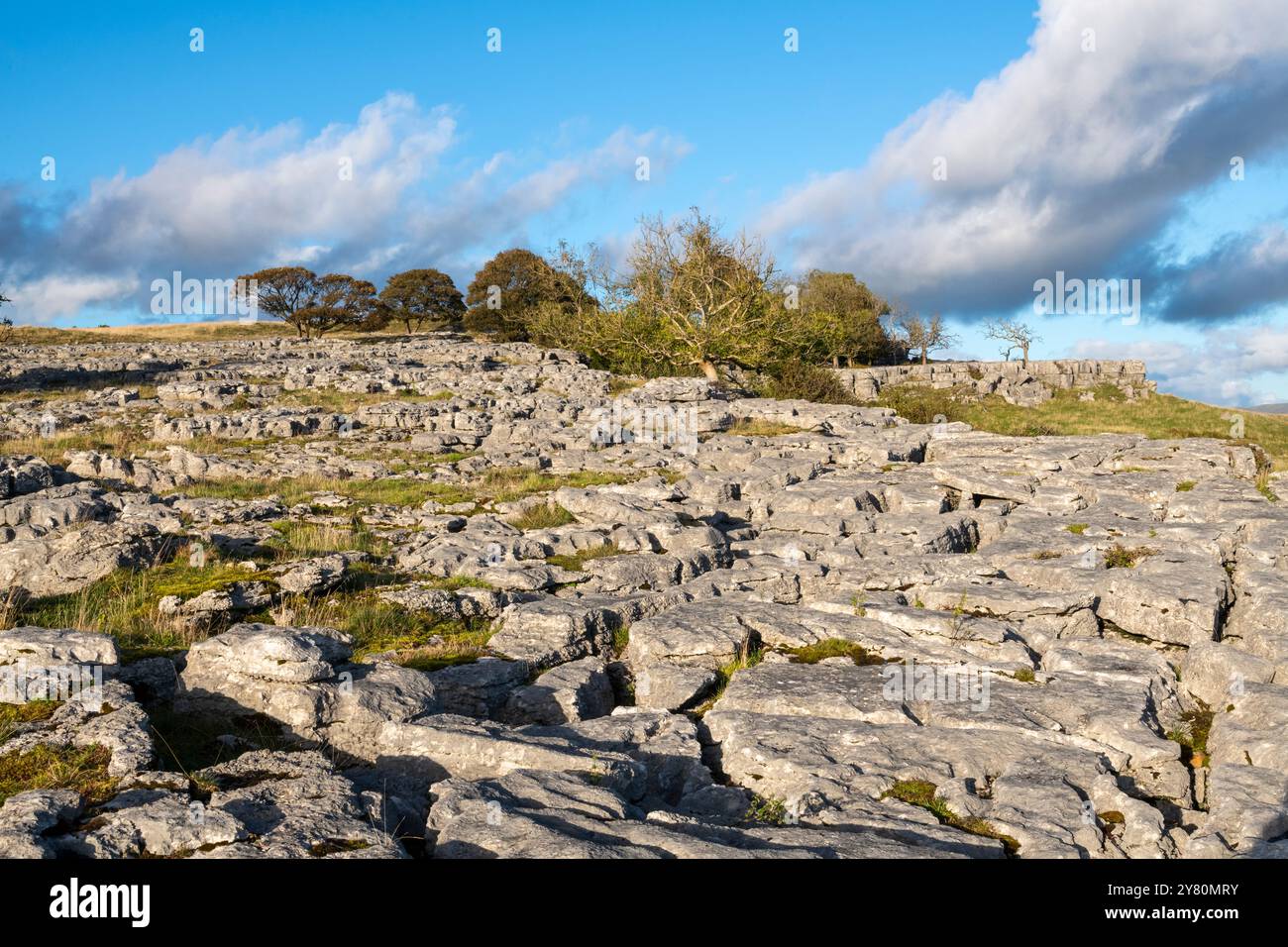 Newbiggin Crags, un paesaggio calcareo vicino a Burton a Lonsdale, Cumbria, Inghilterra. Foto Stock
