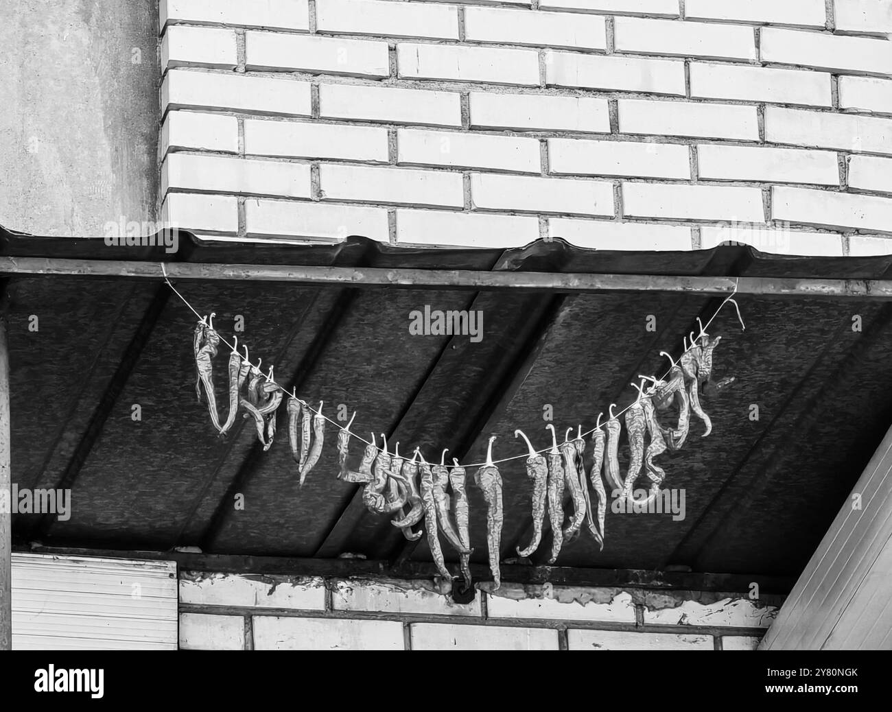 Metodo macedone tradizionale: Peperoni secchi su un balcone contro un muro di mattoni. Appeso alla corda. Foto Stock Metodo macedone tradizionale: Peperoni secchi su un balcone contro un muro di mattoni. Appeso alla corda. Foto Stock