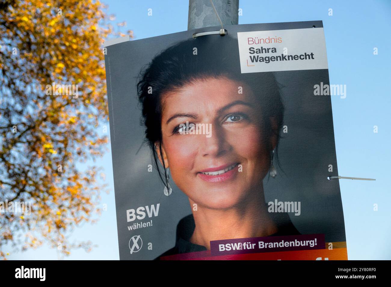 Sahra Wagenknecht Election Placard Board BSW Political Party Berlino Germania Foto Stock