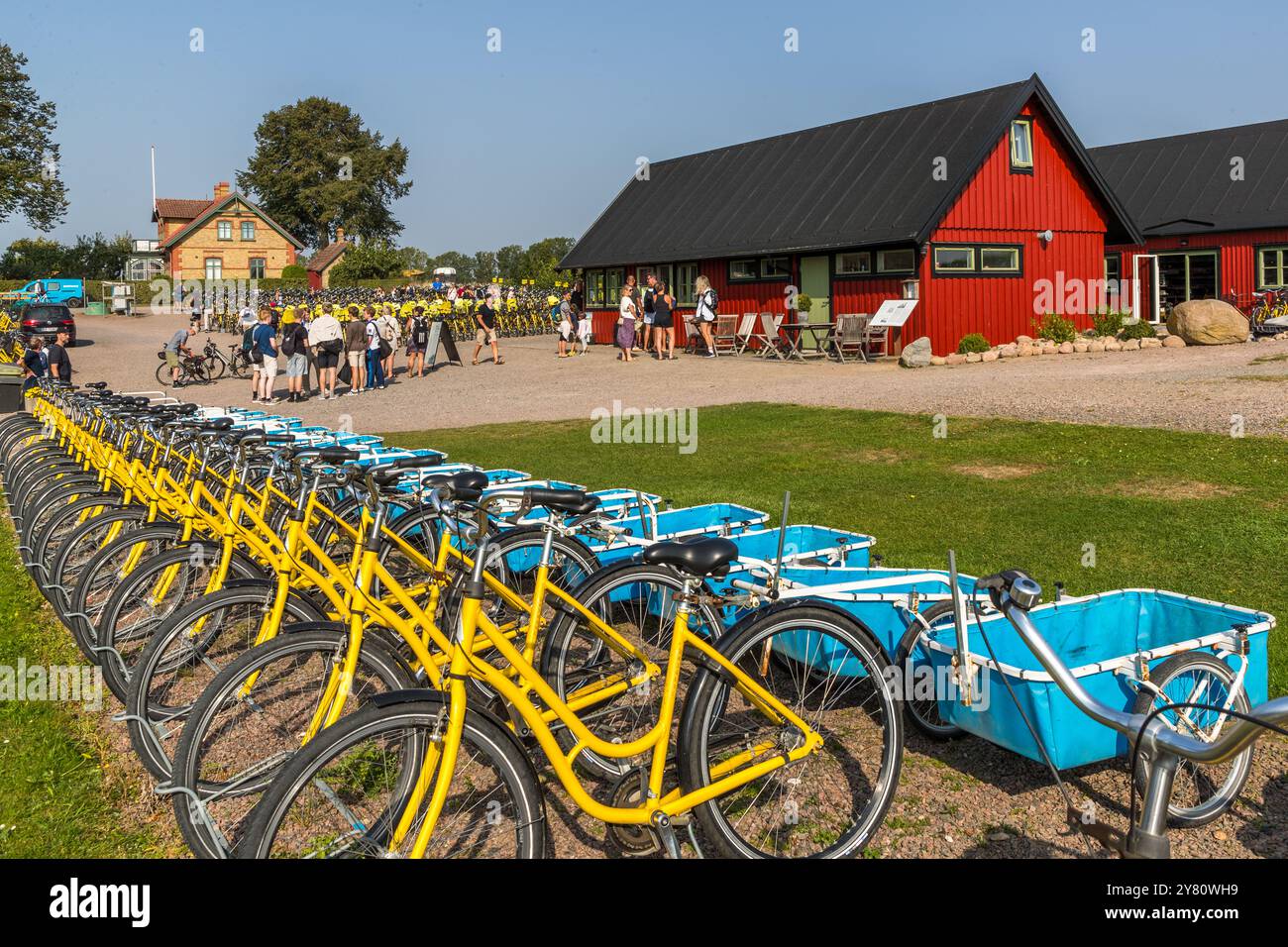 I visitatori giornalieri fanno la fila al noleggio biciclette sull'isola di Ven dopo l'arrivo del traghetto, con biciclette a noleggio gialle e rimorchi blu per bambini o bagagli in primo piano. Ci sono ben oltre mille biciclette disponibili. Landsvägen, Sankt Ibb, Skåne län, Svezia. Foto Stock