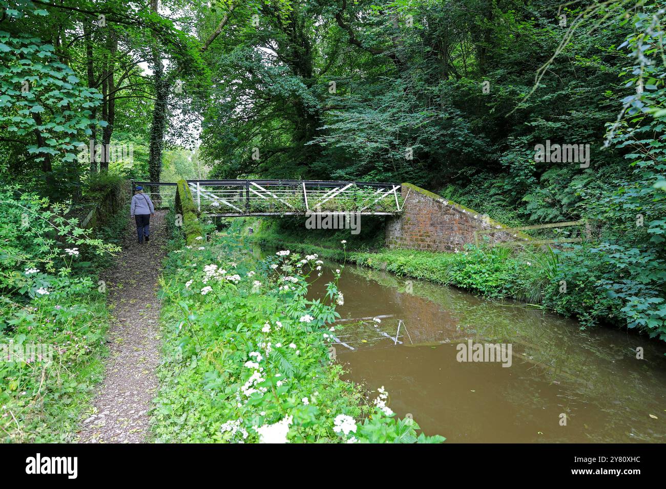 Il changeover Bridge sul ramo di Caldon del Trent and Mersey Canal, Froghall, Staffordshire, Inghilterra, Regno Unito Foto Stock