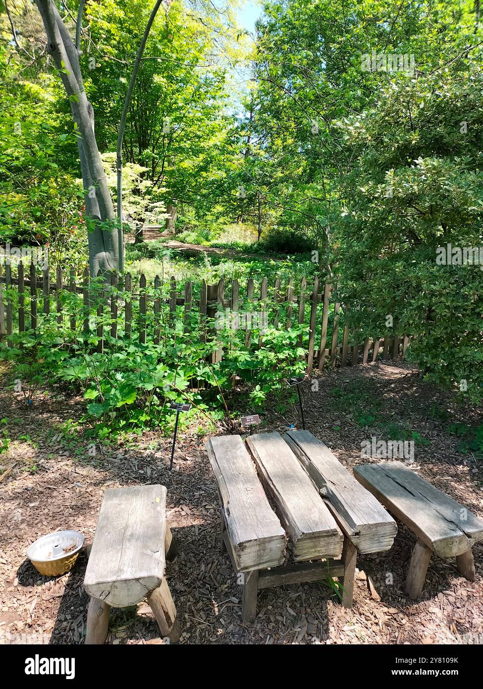 La bellezza della natura si fonde con le storiche case in legno in un parco nel Maryland - Immagine stock catturata con smartphone