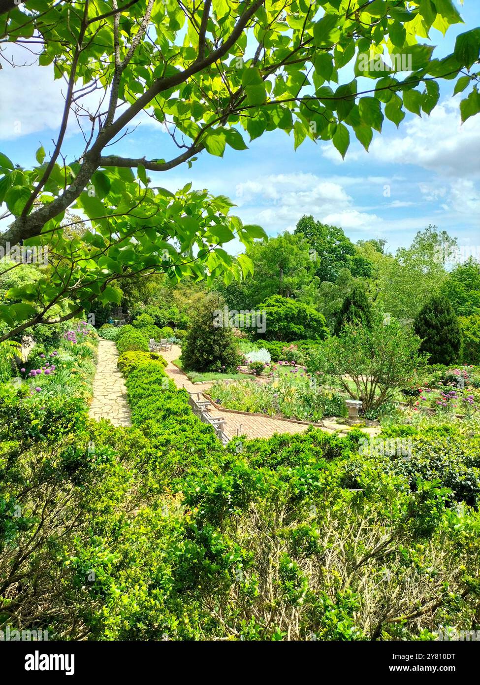 Architettura Marvel e vegetazione lussureggiante che circondano la Cattedrale Nazionale di Washington Foto Stock