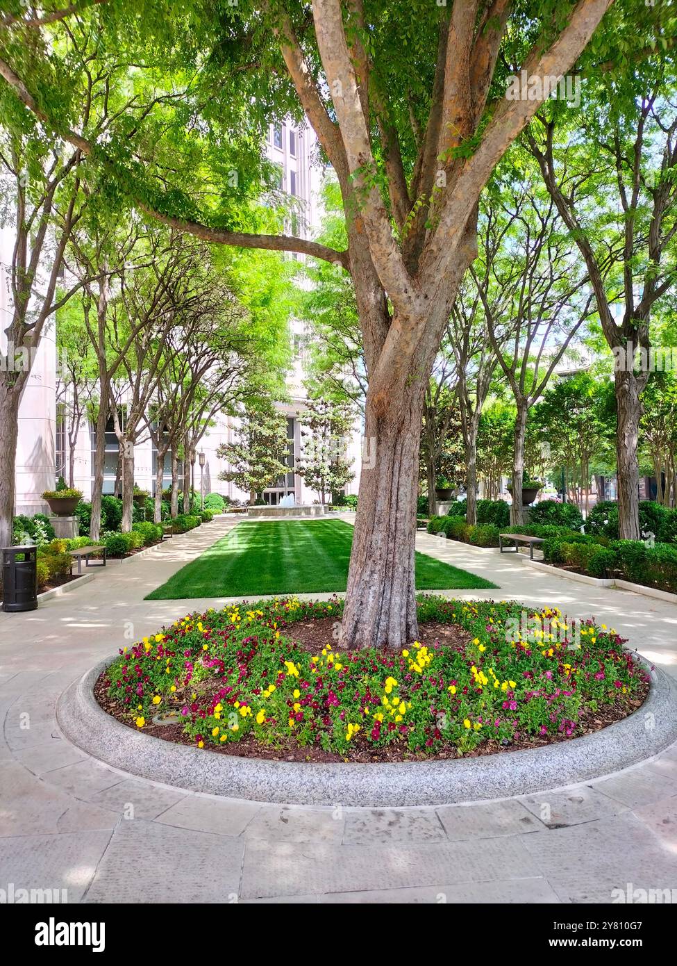Cattura la bellezza architettonica del centro di Bethesda, Maryland, in una perfetta giornata di sole Foto Stock