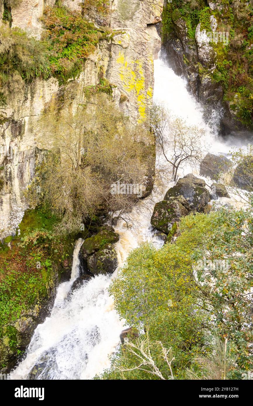 cascata di un fiume di montagna con un grande volume d'acqua a causa delle piogge autunnali, vista nelle vicinanze Foto Stock