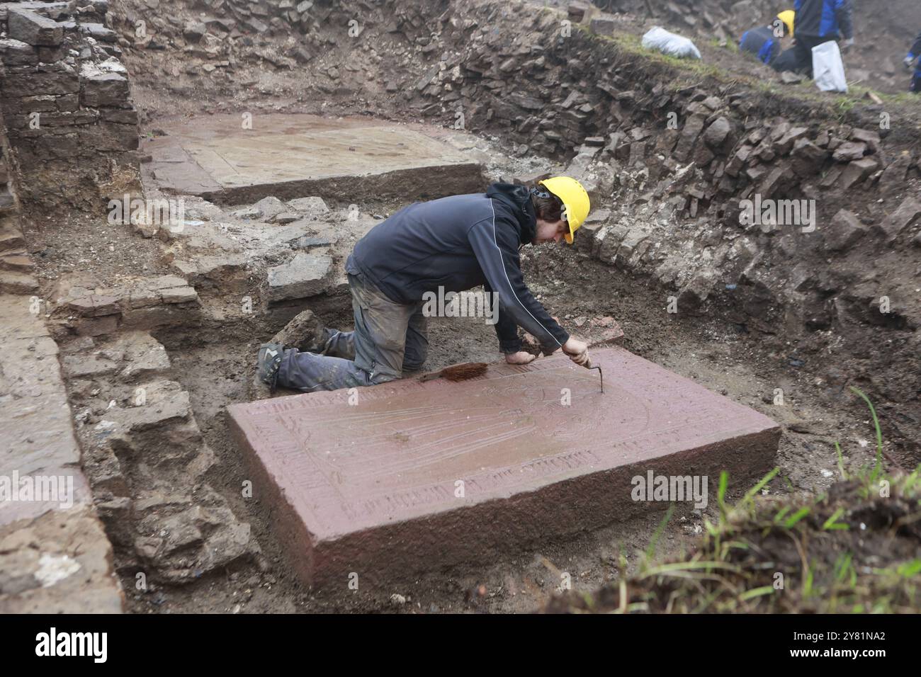 2 ottobre 2024, Sassonia-Anhalt, Wernigerode: Un dipendente dell'Ufficio statale Sassonia-Anhalt per la conservazione dei monumenti e dell'archeologia pulisce una lastra tombale decorata con decorazioni del XVI secolo sul sito dell'ex monastero di Himmelpforte. Questo e altri reperti sono stati presentati oggi in una conferenza stampa. Martin Lutero era un ospite dell'ex monastero agostiniano. Durante la guerra dei contadini nel 1525, il monastero fu saccheggiato dai contadini. Dopo di che, fu quasi completamente dimenticato fino a quando uno scavo da parte dell'Ufficio di Stato per la conservazione dei monumenti e l'archeologia iniziò nel 2 Foto Stock