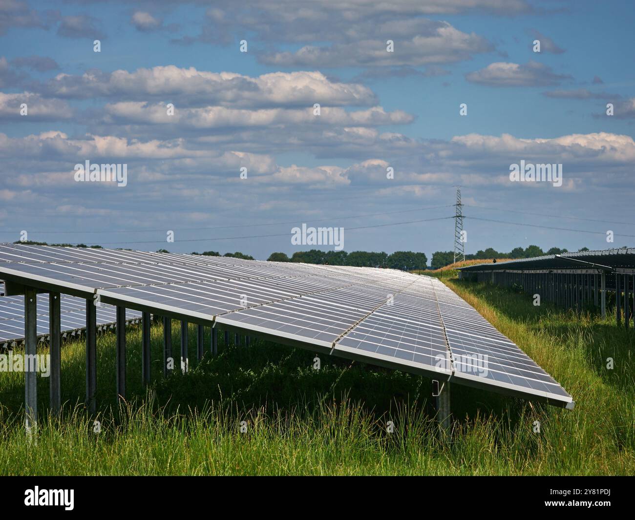 una grande fattoria a energia solare con file di pannelli fotovoltaici, una fattoria a energia solare piena di luce solare in un'area rurale con alberi e cieli blu. Renewabl Foto Stock
