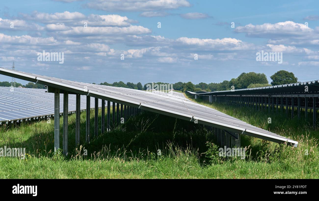 una grande fattoria a energia solare con file di pannelli fotovoltaici, una fattoria a energia solare piena di luce solare in un'area rurale con alberi e cieli blu. Renewabl Foto Stock