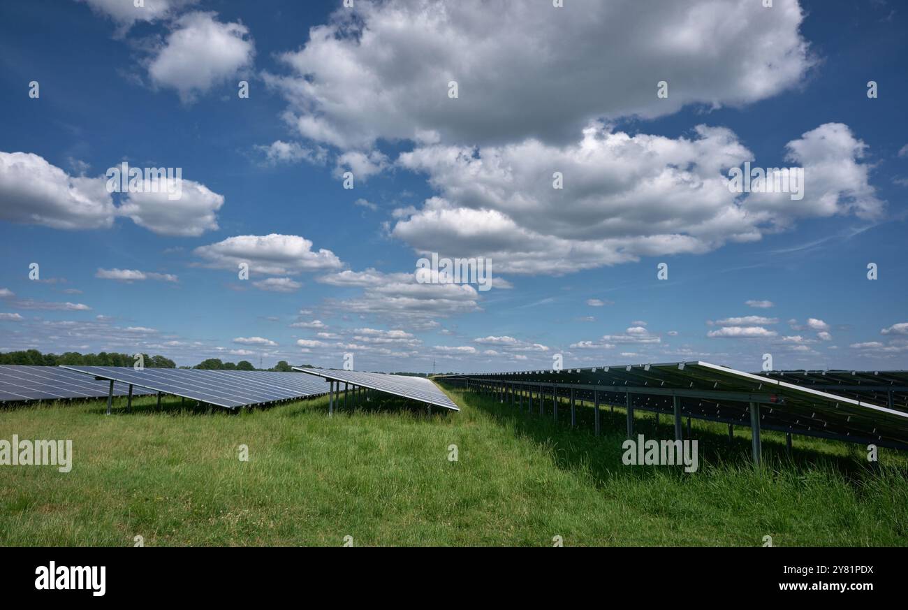 una grande fattoria a energia solare con file di pannelli fotovoltaici, una fattoria a energia solare piena di luce solare in un'area rurale con alberi e cieli blu. Renewabl Foto Stock