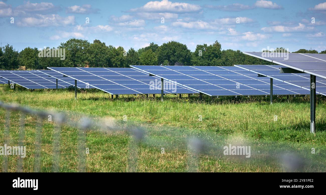 una grande fattoria a energia solare con file di pannelli fotovoltaici, una fattoria a energia solare piena di luce solare in un'area rurale con alberi e cieli blu. Renewabl Foto Stock