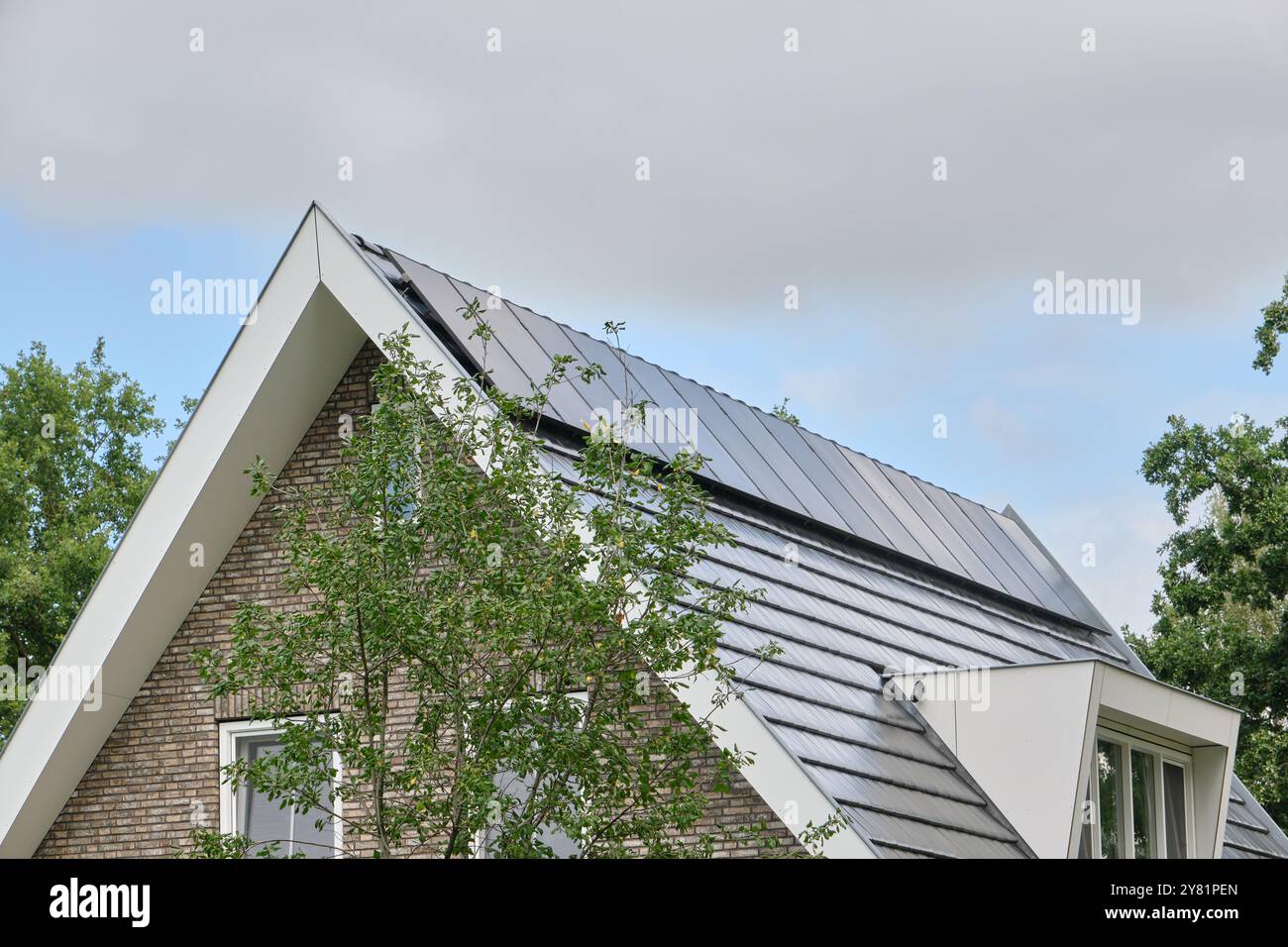 Pannelli solari installati sul tetto di una moderna casa residenziale nei Paesi Bassi, che mostrano l'integrazione dell'energia rinnovabile nella vita moderna. Foto Stock