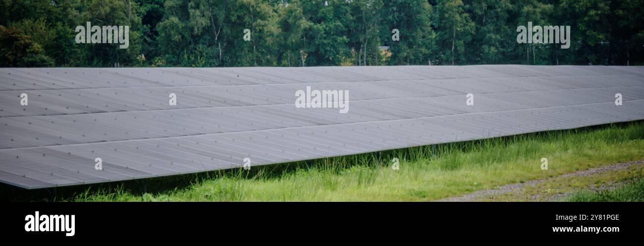 una grande fattoria a energia solare con file di pannelli fotovoltaici, accanto a un'autostrada, in un'area rurale con alberi e cieli blu. Produzione di energia rinnovabile Foto Stock