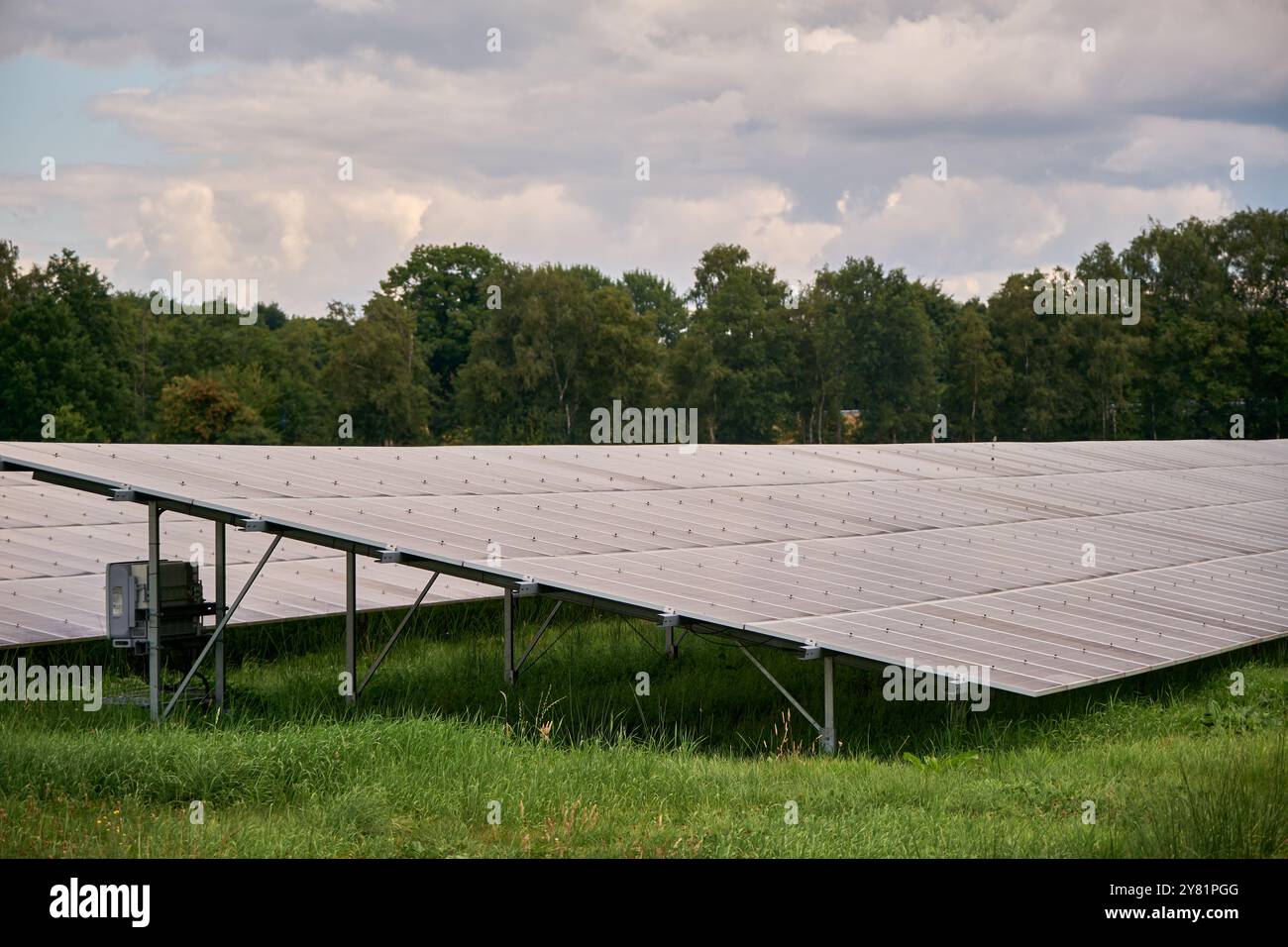 una grande fattoria a energia solare con file di pannelli fotovoltaici, accanto a un'autostrada, in un'area rurale con alberi e cieli blu. Produzione di energia rinnovabile Foto Stock