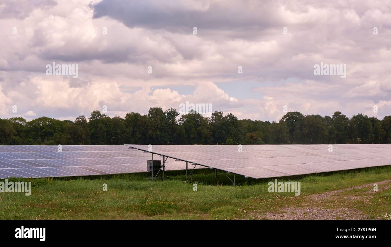 una grande fattoria a energia solare con file di pannelli fotovoltaici, accanto a un'autostrada, in un'area rurale con alberi e cieli blu. Produzione di energia rinnovabile Foto Stock