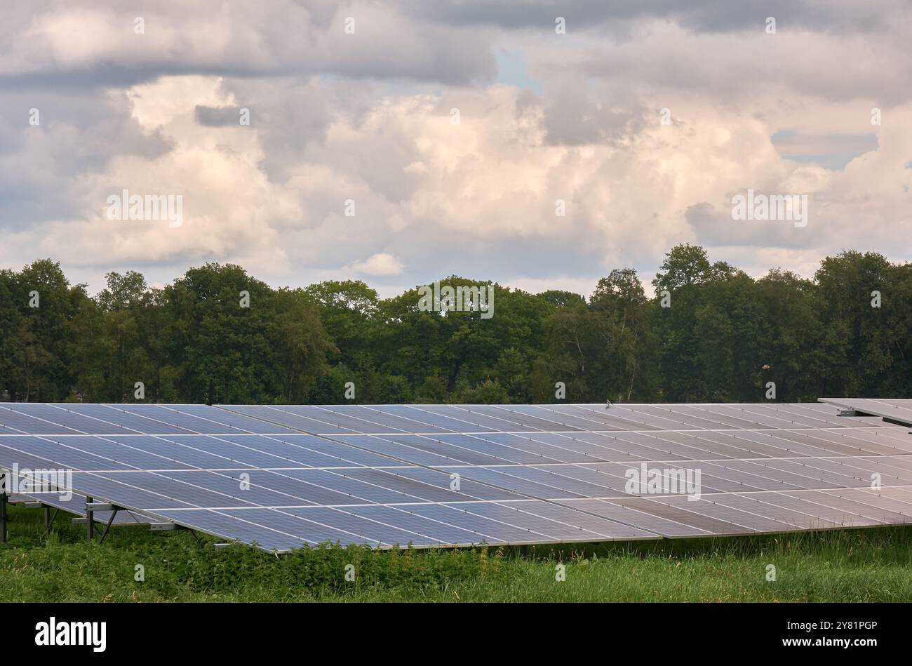 una grande fattoria a energia solare con file di pannelli fotovoltaici, accanto a un'autostrada, in un'area rurale con alberi e cieli blu. Produzione di energia rinnovabile Foto Stock