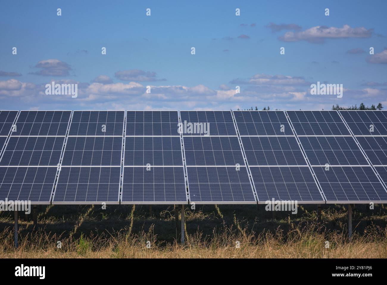 una grande fattoria a energia solare con file di pannelli fotovoltaici, in un'area urale con alberi e cieli blu. Le pecore pascolano la zona. Produzione di energia in Foto Stock