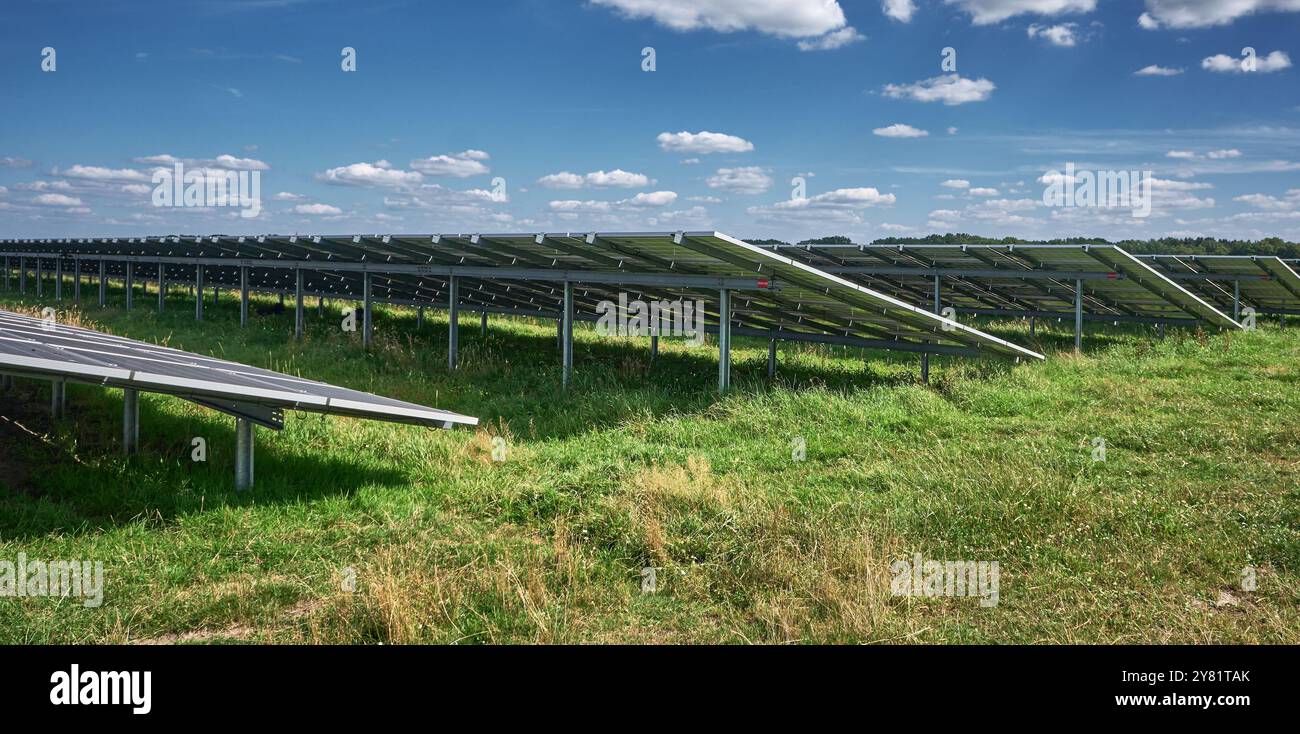 una grande fattoria a energia solare con file di pannelli fotovoltaici, vista da dietro, in un'area rurale con alberi e cieli blu. Renewab Foto Stock