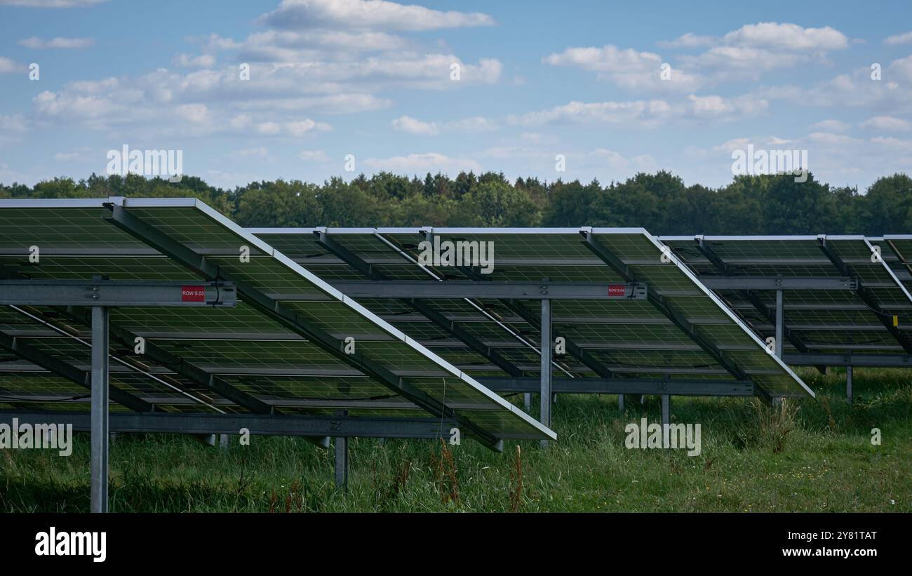 una grande fattoria a energia solare con file di pannelli fotovoltaici, vista da dietro, in un'area rurale con alberi e cieli blu. Renewab Foto Stock