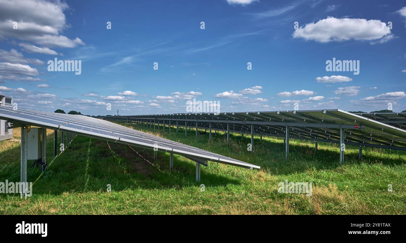una grande fattoria a energia solare con file di pannelli fotovoltaici, vista da dietro, in un'area rurale con alberi e cieli blu. Renewab Foto Stock