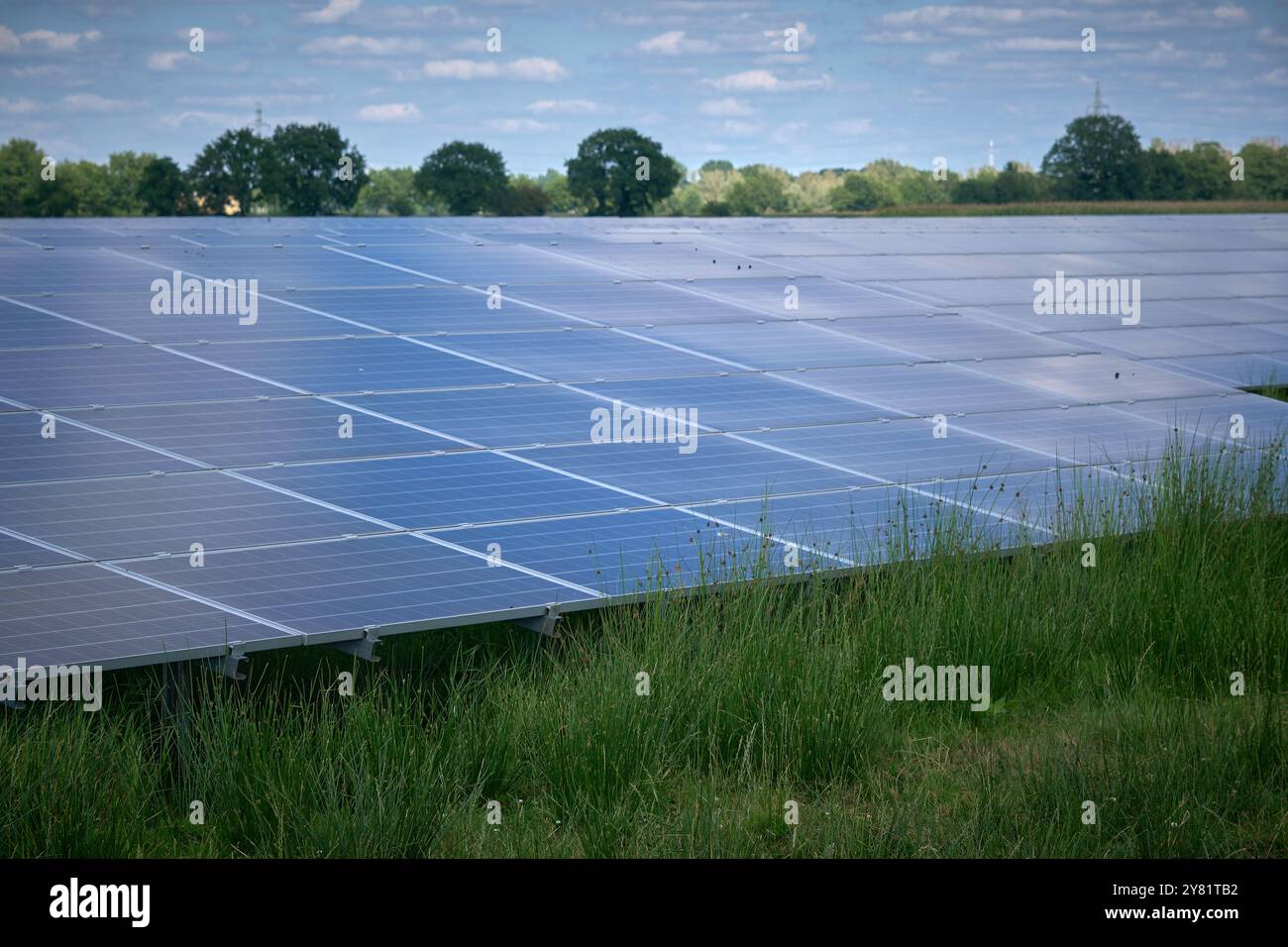 una grande fattoria a energia solare con file di pannelli fotovoltaici, una fattoria a energia solare piena di luce solare in un'area rurale con alberi e cieli blu. Renewabl Foto Stock