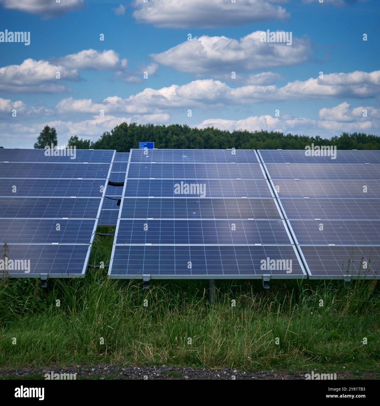 una grande fattoria a energia solare con file di pannelli fotovoltaici, una fattoria a energia solare piena di luce solare in un'area rurale con alberi e cieli blu. Renewabl Foto Stock