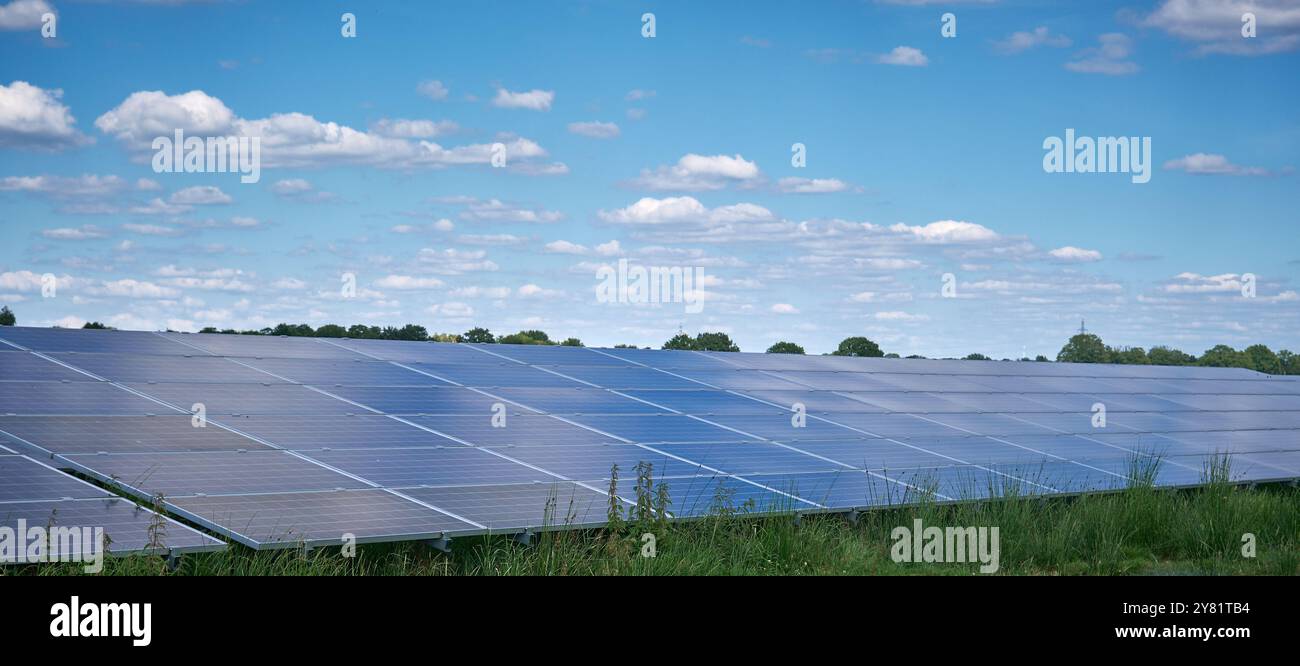 una grande fattoria a energia solare con file di pannelli fotovoltaici, una fattoria a energia solare piena di luce solare in un'area rurale con alberi e cieli blu. Renewabl Foto Stock