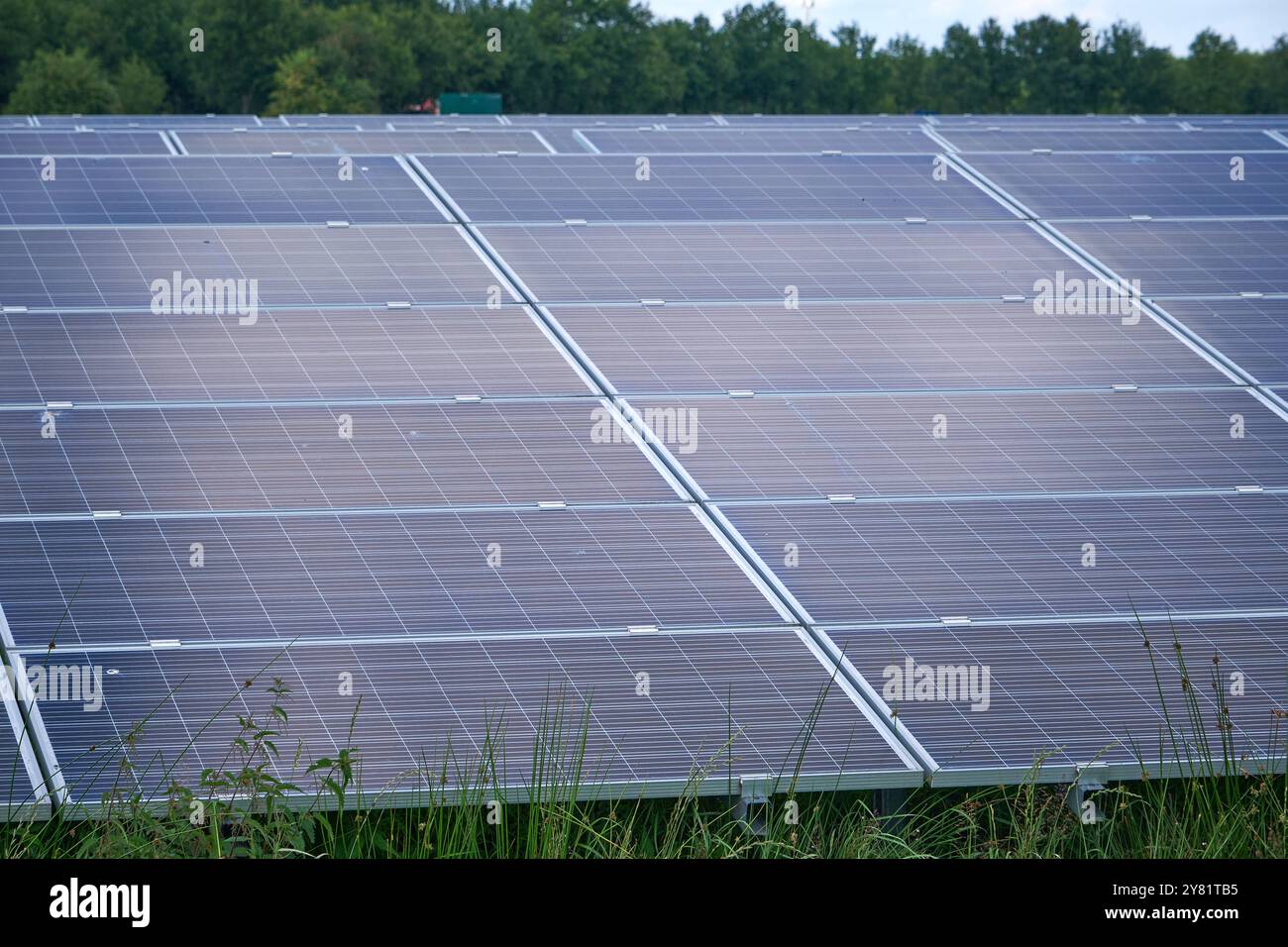 una grande fattoria a energia solare con file di pannelli fotovoltaici, una fattoria a energia solare piena di luce solare in un'area rurale con alberi e cieli blu. Foto Stock