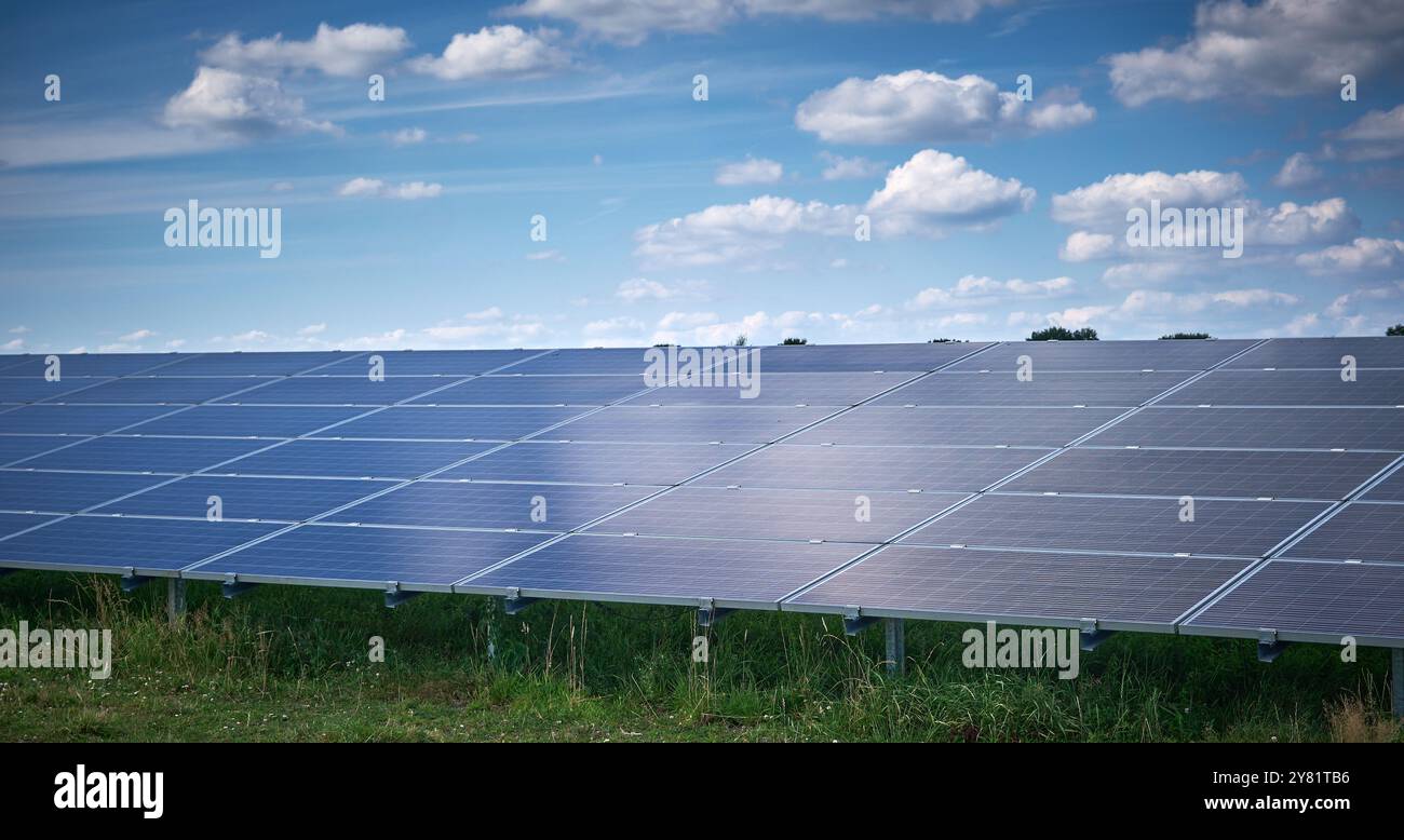 una grande fattoria a energia solare con file di pannelli fotovoltaici, una fattoria a energia solare piena di luce solare in un'area rurale con alberi e cieli blu. Renewabl Foto Stock
