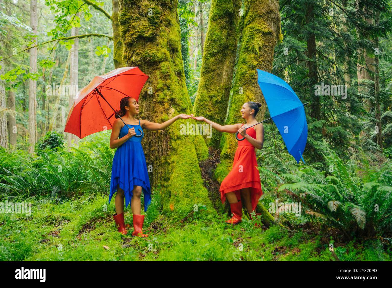 Due donne in abiti colorati che tengono gli ombrelli e toccano le mani accanto a un albero muschio in una lussureggiante foresta verde. Foto Stock