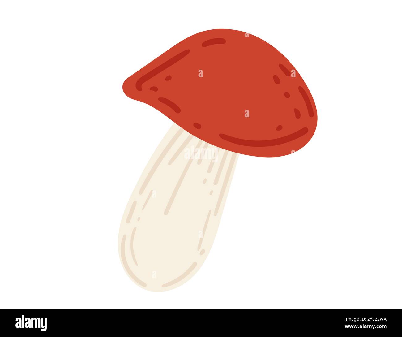 Fungo bolete con tappo rosso. Ideale per la raccolta di funghi, design culinari e contenuti a tema naturale. Illustrazione vettoriale isolata su sfondo bianco Illustrazione Vettoriale