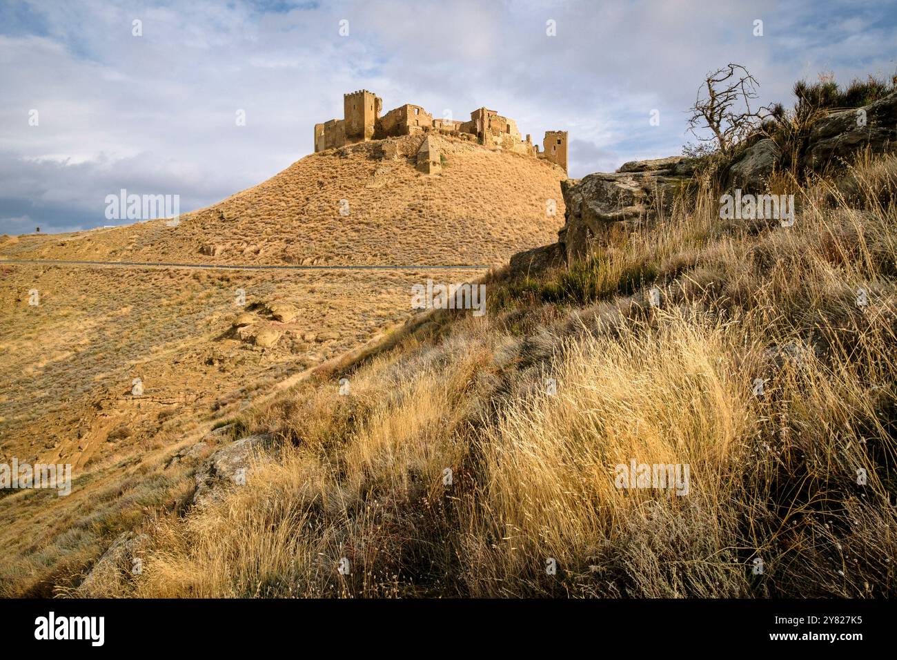 Castello di Montearagón, del XI secolo, comune di Quicena, Huesca, dichiarata monumento nazionale nel 1931, la cordigliera pirenaica, provincia de Huesca, Ara Foto Stock