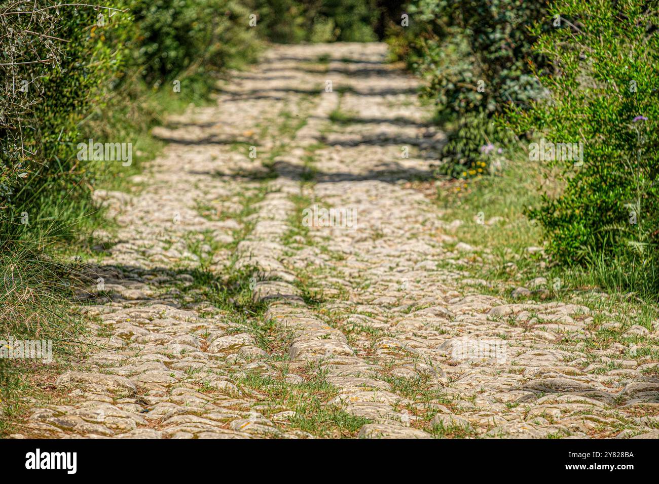 Via Bànyols, Alaró, Maiorca, Isole Baleari, Spagna Foto Stock