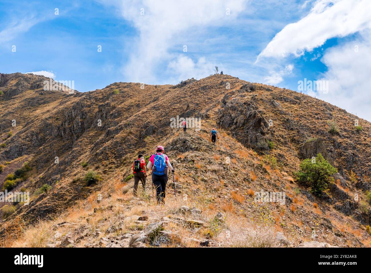 Un gruppo di escursionisti che camminano con i pali e gli zaini su una collina e si dirigono verso la vetta. Foto Stock