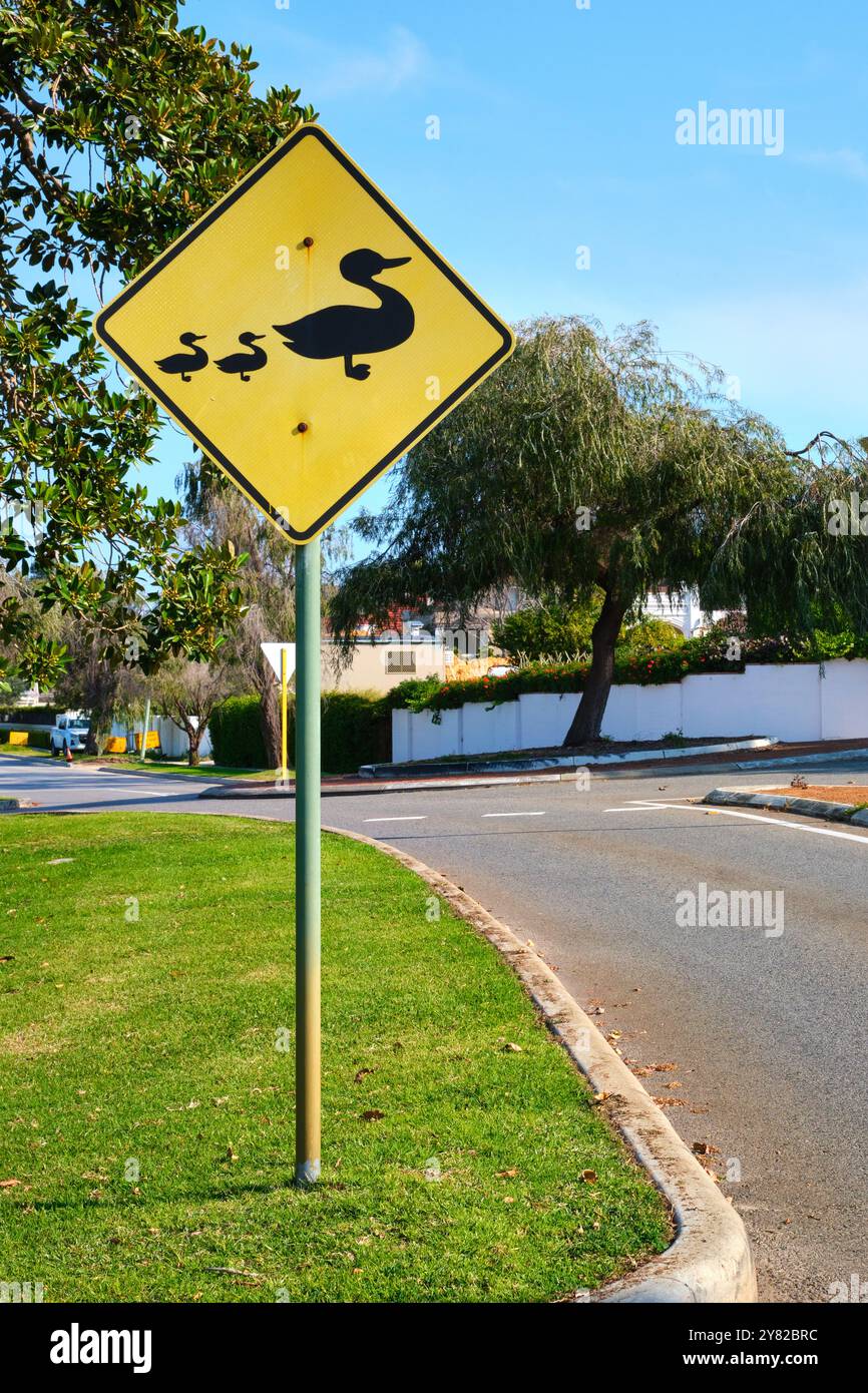 Un cartello che indica un incrocio di fauna selvatica con una foto di un'anatra e anatre in una strada suburbana a Peppermint Grove, Perth, Australia Occidentale. Foto Stock